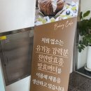 시골제빵소 | 공주맛집] 뷰 맛집, 빵 맛집 공주 근교 베이커리 카페 계룡제빵소 후기