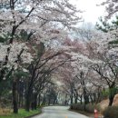카페화 네이버블로그