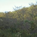 미천면-4 이미지