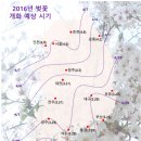 개화(아) 이미지