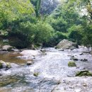 상원골민박 이미지