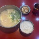 스테이공유논현