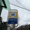 달래내로 | 서울 당일치기 글램핑 뚜벅이도 가능한 청계산골든밸리가족캠핑장 후기