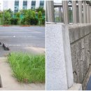 미항초등학교 이미지