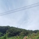 12동파민박 Daum카페
