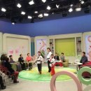 용인대박사태권도 이미지