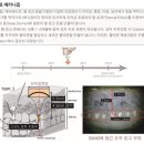 플로레의원 이미지