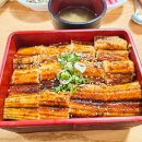 소진경로당 | 제주 산방산 맛집 사계의시간 장어덮밥 솔직 후기