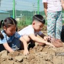 대양자원 이미지