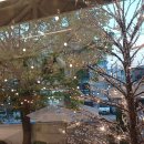 빈스로드 이미지