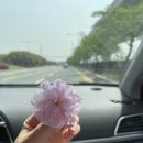 불국사관광안내소 이미지