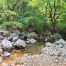 사나사(사찰 앞) 이미지