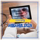 서울나우치과의원 네이버블로그
