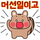 영신꽃화원 이미지