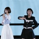 푸른산호초