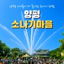 양평 아이와 가볼만한 곳｜황순원문학촌 소나기마을 인공소나기 후기