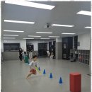 우리동네태권도장 이미지