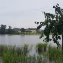 인평장어메기집 이미지