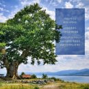 (주)신안전설 이미지