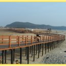 갯벌생태 체험장 이미지