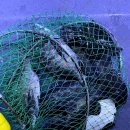 J&D 실내바다낚시터 이미지