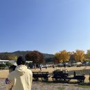 [충북 청주] 청주 더플레이그라운드 후기 / 아이와 놀러가기 좋은곳 / 더플레이그라운드 가격, 예약, 음식