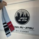 수유주짓수 어반주짓수 승급식 주짓수 띠 벨트 그랄 승급 체계