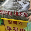 원우수산 | 가락시장 형제수산 알쭈꾸미 도다리 내돈내산 단골후기
