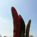 괴산 세계유기농엑스포 관람기-유기농축제- 이미지