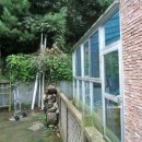 장흥면사무소 이미지