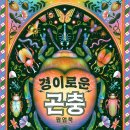 [북극곰] 경이로운 곤충 팝업북 _ 북극곰 궁금해 시리즈 26 이미지