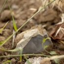 가야슈퍼 이미지