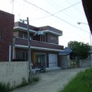 동강1리 이미지