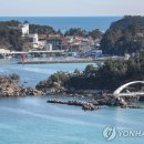 삼척장호어촌체험휴양마을 이미지