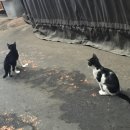 석바위생활용품