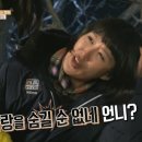 피크닉꼬마김밥 이미지