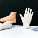 일상의 작은변화 이미지