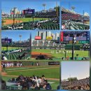 블럭땅땅 | 5/9(토) 롯데 V KIA 사직구장 직관 (1루 내야필드석 112블럭 15열 후기) ⚾️ 또 졌다.. 언제이겨😭😭