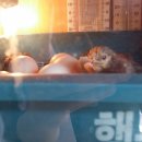 도계경로당 이미지