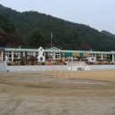 서석초 항곡분교장 Daum카페
