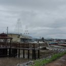 철새보러가는길 이미지