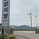 뷰나인아임파인