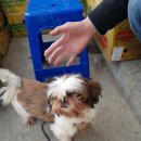 서정역로 이미지