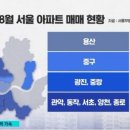 8월 서울 아파트 거래량 이미지