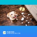 원진클린시스템 이미지