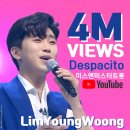 데스파시토