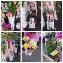 다모아의료기 이미지