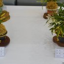 군청 민원실 이미지