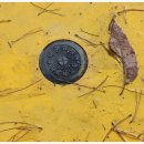 월산1리 이미지