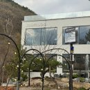 양산 벚꽃뷰와 맛있는 브런치도 가능한 카페 무무도 내돈내산